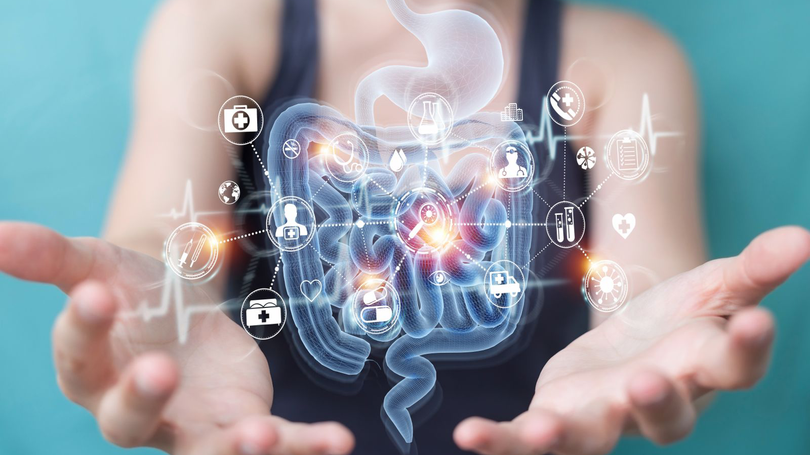 BPC-157 and Gut Health: What the Research Actually Shows