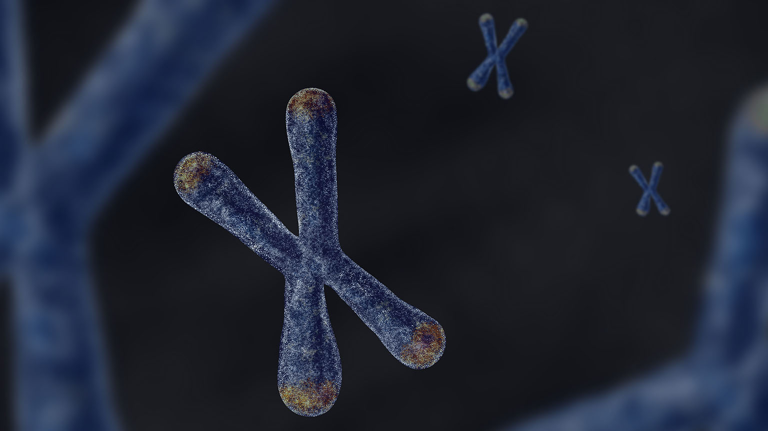 Epitalon and Telomere Research: What the Evidence Actually Shows